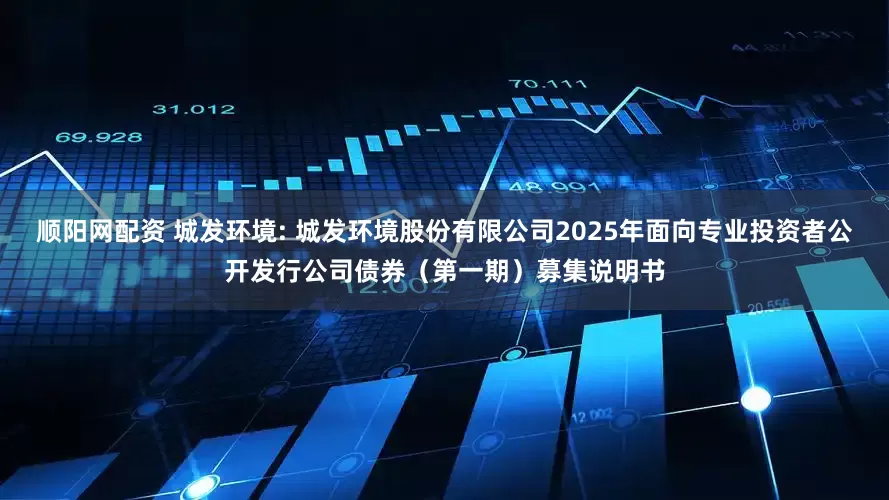 顺阳网配资 城发环境: 城发环境股份有限公司2025年面向专业投资者公开发行公司债券（第一期）募集说明书