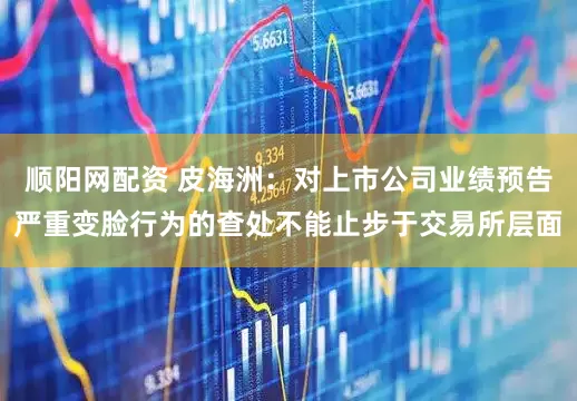 顺阳网配资 皮海洲：对上市公司业绩预告严重变脸行为的查处不能止步于交易所层面
