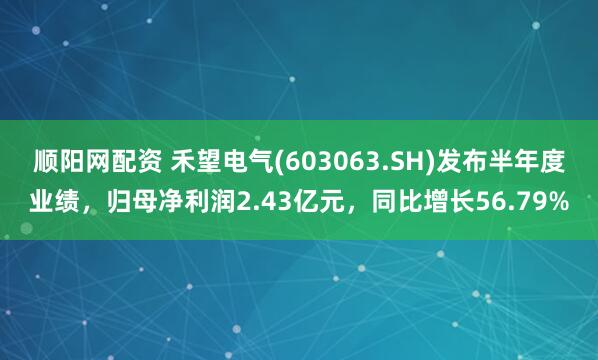 顺阳网配资 禾望电气(603063.SH)发布半年度业绩，归母净利润2.43亿元，同比增长56.79%